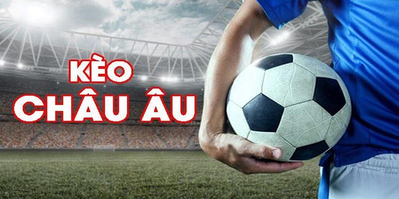 Công thức tính tiền thắng thua trong cá cược dựa trên tỷ lệ Odds